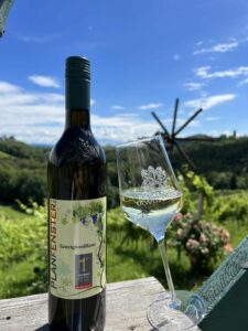 311567838_575072714620903_5516628209535146923_n